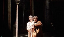 王仪爆料肖恩视频大全集,视频大全集深度解析